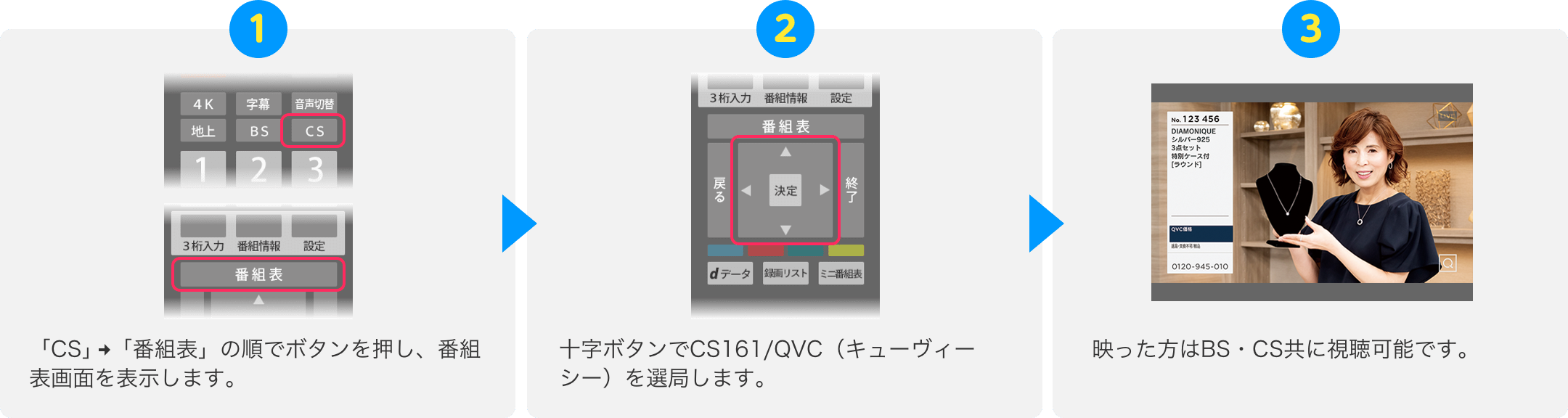 視聴開始までの流れを示す公式ガイドのステップ図